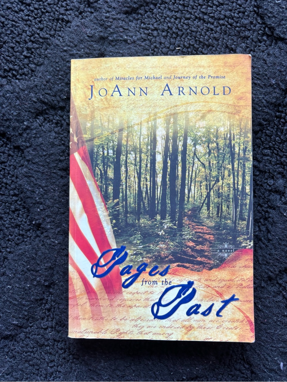 JoAnn Arnold Pages from the Past (2005) Trade Paperback Mystery Fiction